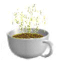 coffee.GIF